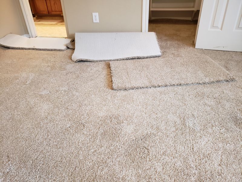Basement Carpet Repair in Olathe, KS