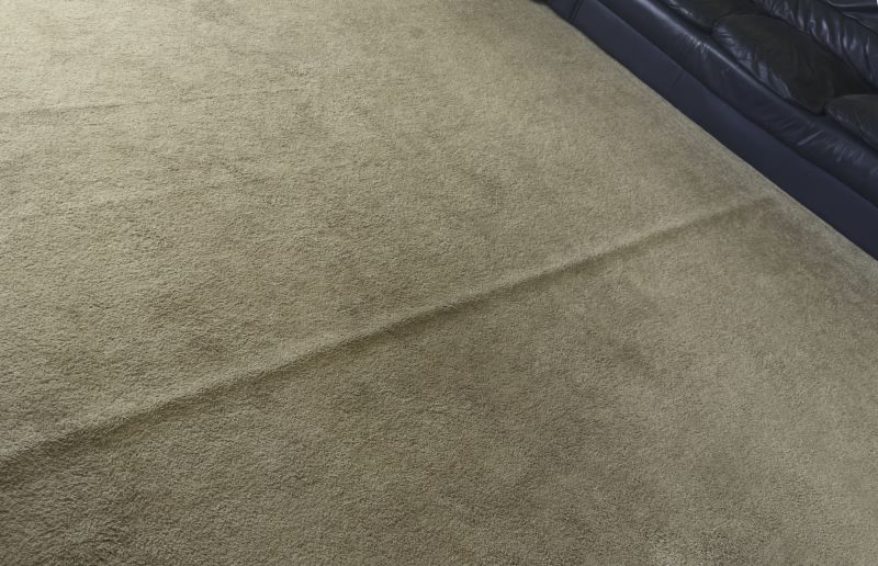 Carpet Burn Repair in Kansas City, KS