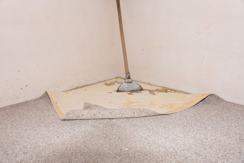 Carpet Cushion Replacement in Olathe, KS