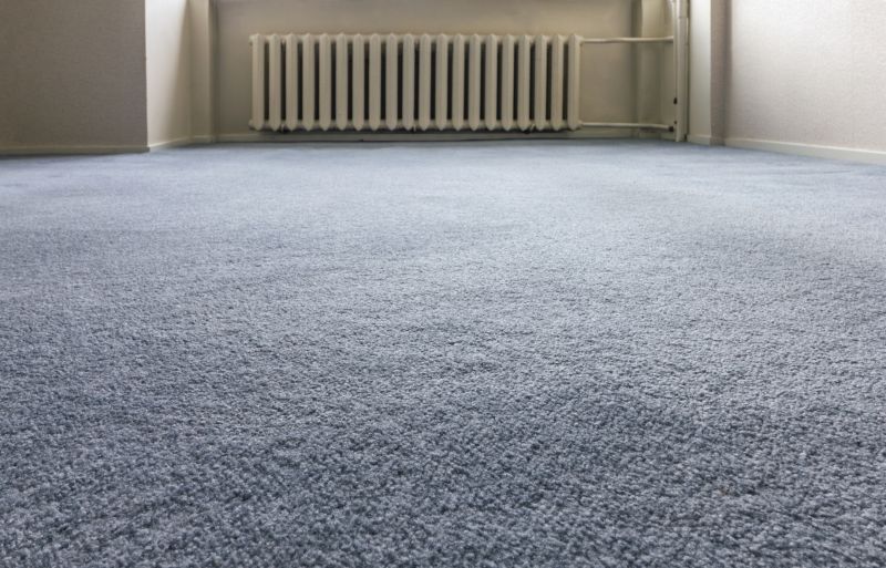 Carpet Repair Service in Olathe, KS