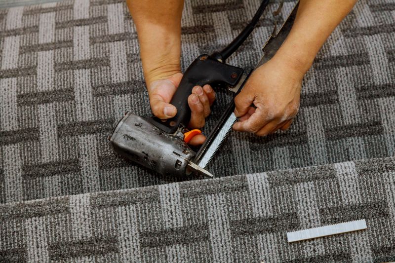 Pet Stain Carpet Repair in Olathe, KS